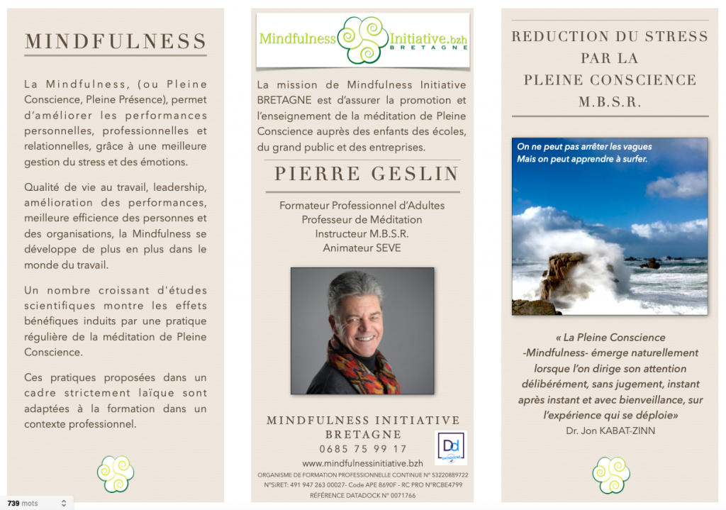 Programme MBSR en ligne - "live-online" - Méditation de Pleine Conscience et Réduction du Stress par la Pleine Conscience